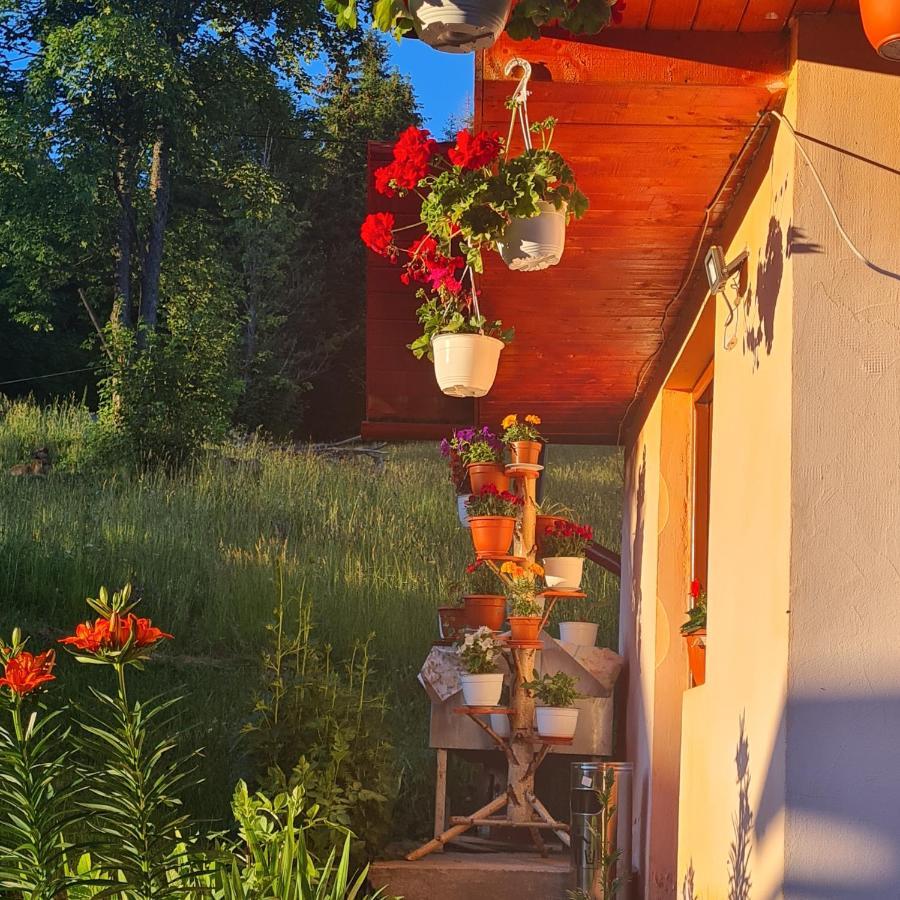 Cabana Cret Ocoale エクステリア 写真